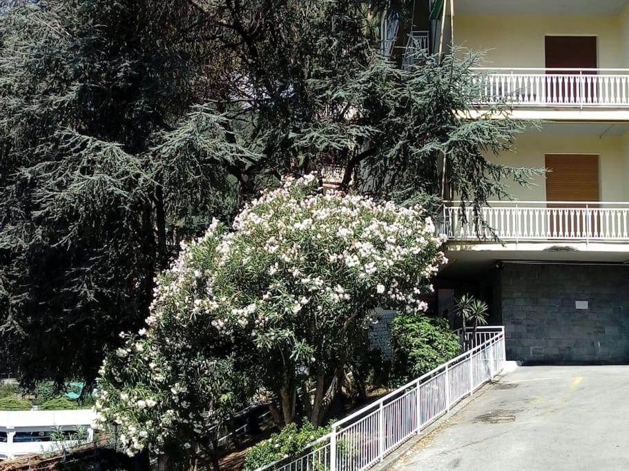 Alma Vacanza Rapallo Kültér fotó